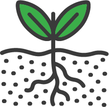 icon-soiltest.png